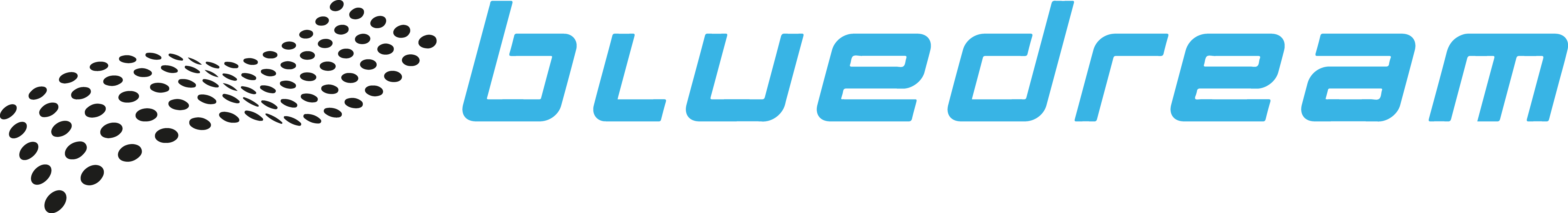 Bluedream srl logo contatti